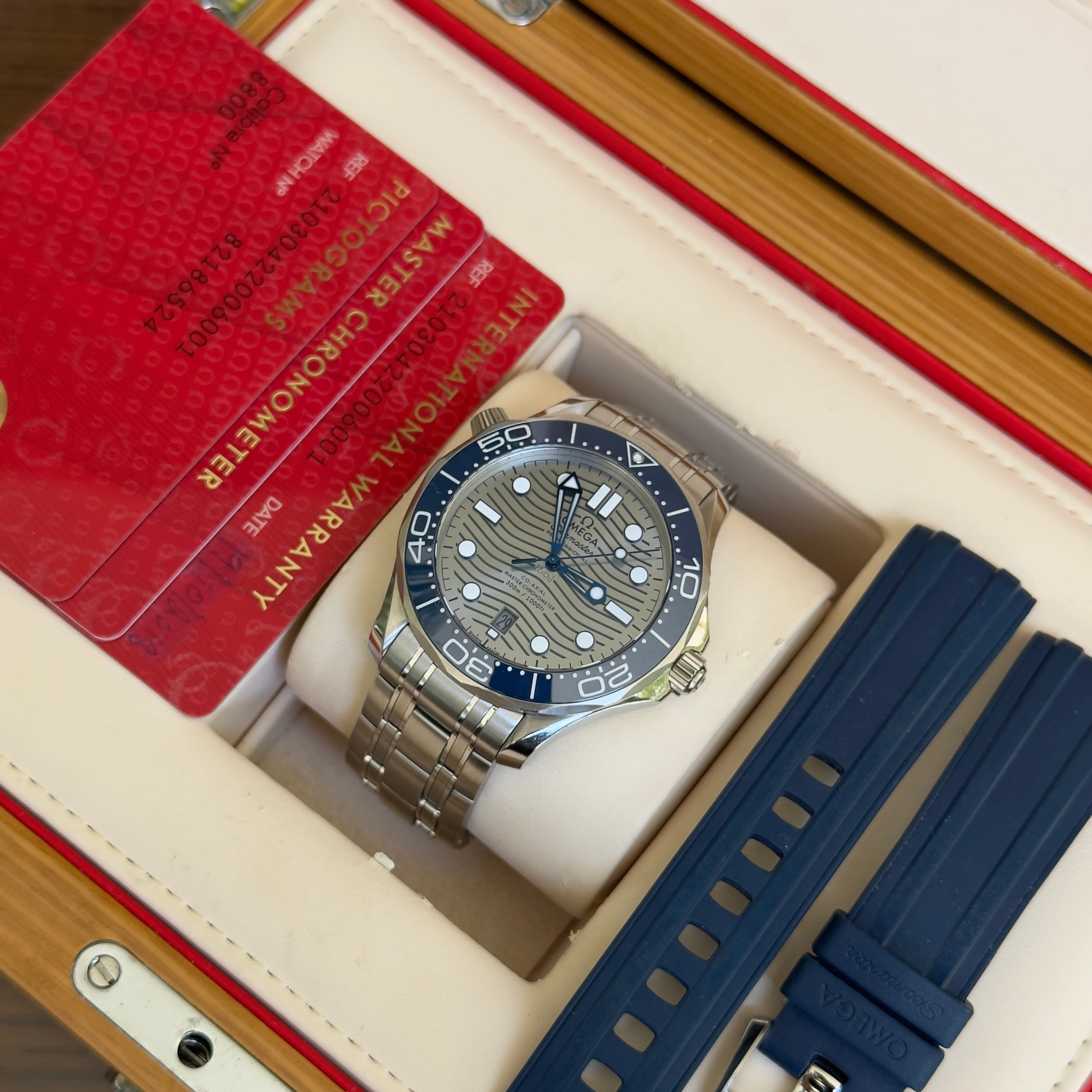 Omega Seamaster Professional 300 Grey Wave Dial